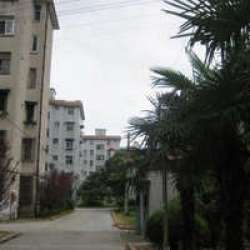 上南路4230弄小區 上南路4230弄小區