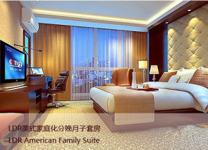 LDR美式家庭化分娩月子套房