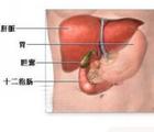 缺血性肝炎 缺血性肝炎