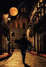 賴莉&middot;維可