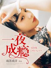 一夜成癮
