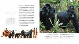 與猩猩面對面 與猩猩面對面