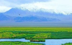 阿爾金山國際狩獵場 阿爾金山國際狩獵場