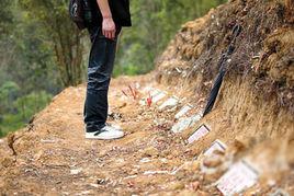 公益經適墓地 公益經適墓地