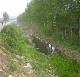 沿海集團蘇家屯項目 沿海集團蘇家屯項目