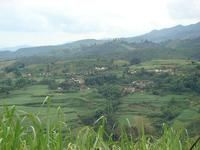 控勇自然村 控勇自然村