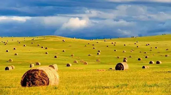 夏天千萬別去內蒙古!我是認真的...