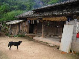 老袁寨村 老袁寨村