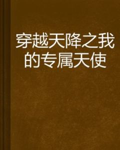穿越天降之我的專屬天使 穿越天降之我的專屬天使
