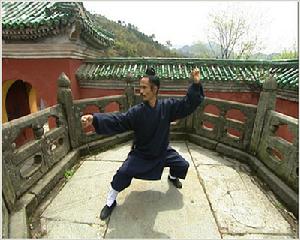 五祖鶴陽拳