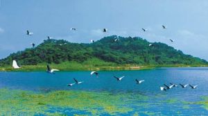 紹興鏡湖國家城市濕地公園