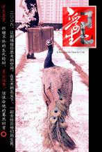 喻榮軍作品海報