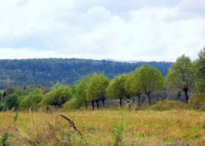 波蘭畢斯茲扎迪國家公園 波蘭畢斯茲扎迪國家公園