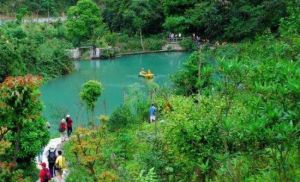 大王嶺原始生態旅遊景區 大王嶺原始生態旅遊景區