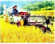 中共中央、國務院關於堅持農業農村優先發展做好“三農”工作的若干意見