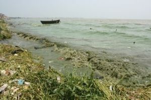 重大環境事故污染罪 重大環境事故污染罪