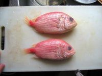 人為刀俎，我為魚肉