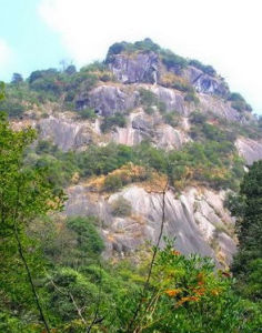 湖南永州都龐嶺自然保護區