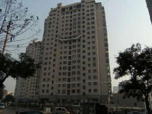 天福綠洲 天福綠洲