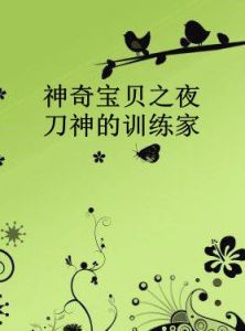 神奇寶貝之夜刀神的訓練家
