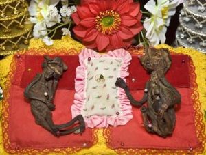 花園裡的外星人 花園裡的外星人