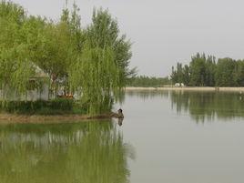 鏵尖鄉[甘肅省肅州區鏵尖鄉]