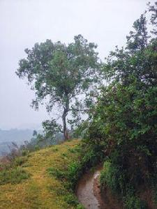 英雄渠[雲南省宜良縣]