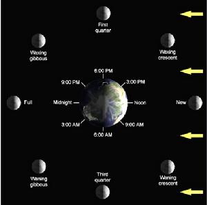原始含義的新月是指農曆月初的月相