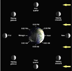 原始含義的新月是指農曆月初的月相