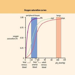 滿載飽和曲線 滿載飽和曲線