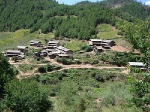 水箐坪村村莊全貌