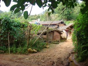 柳樹箐自然村 柳樹箐自然村