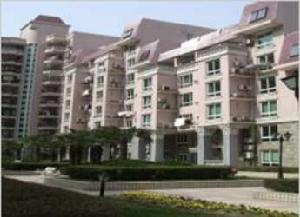 西談家渡路81弄小區 西談家渡路81弄小區