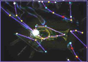 南魚座流星雨 南魚座流星雨