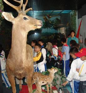 動物園的宣傳教育活動