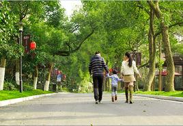 坤和和家園 坤和和家園