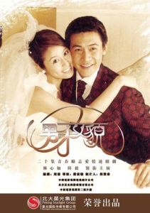男才女貌[2003年蔣家駿執導電視劇]