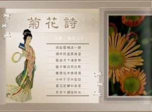 菊花詩 菊花詩