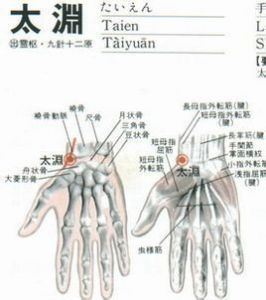 太淵 太淵