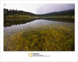雅家情海 雅家情海