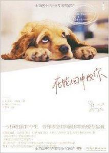 OPEN經典:在輪迴中找你 OPEN經典:在輪迴中找你