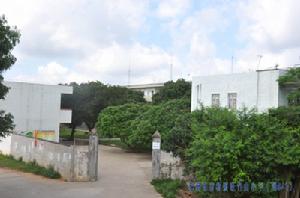 旺竹山國小 旺竹山國小