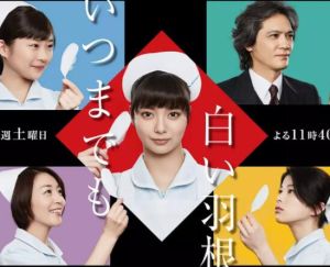 永遠的白羽毛 永遠的白羽毛