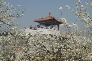 （圖）柴胡店鎮