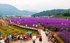 筋竹澗農業觀光園 筋竹澗農業觀光園