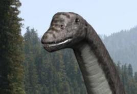 阿比杜斯龍 阿比杜斯龍