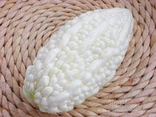 白玉苦瓜[余光中現代詩]