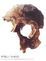 1994年十大考古發現