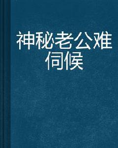 神秘老公難伺候[紅袖小說]