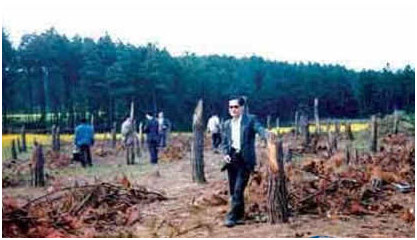 都溪林場被攔腰截斷的樹木